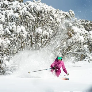 23rd-august-hotham-powder-day-of-the-year-9481--1--copy